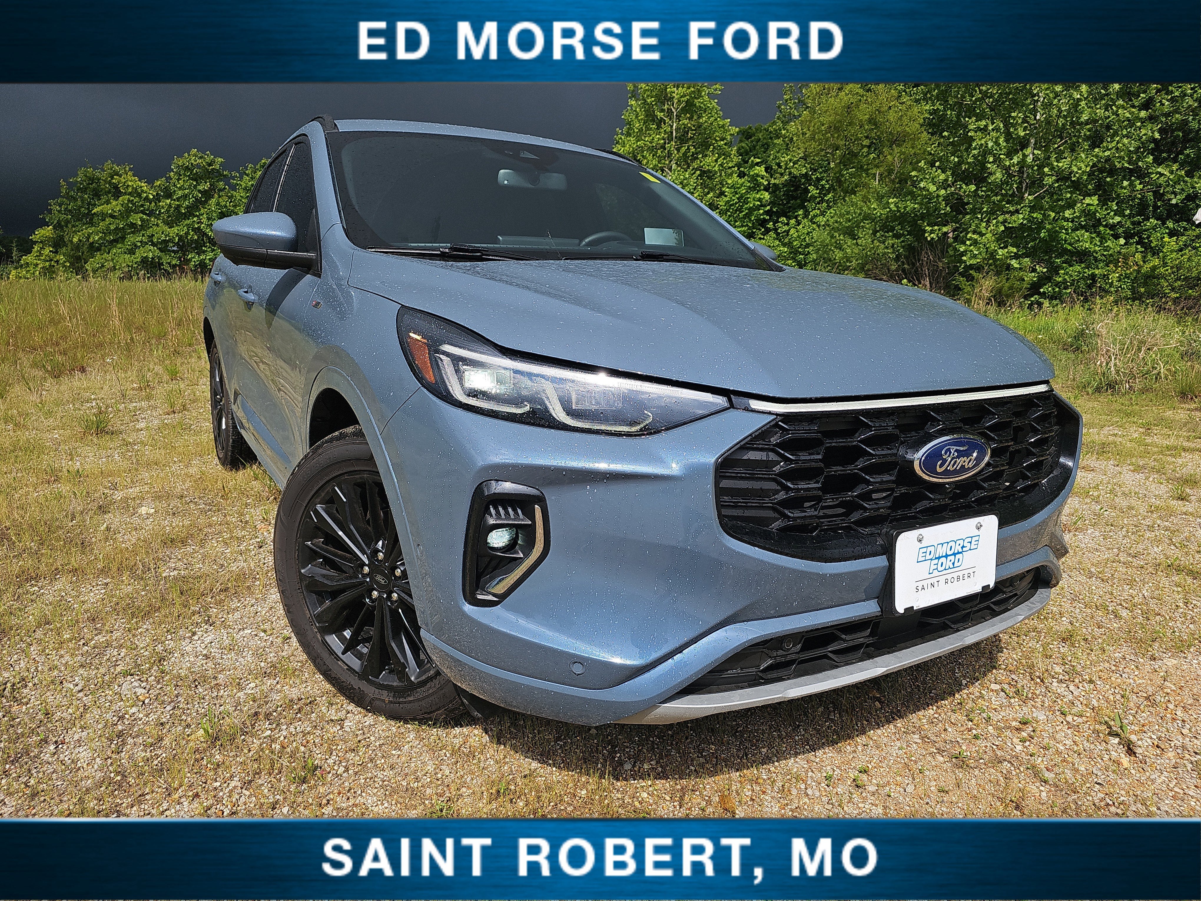 2023 Ford Escape ST-Line Elite HEV AWD 2.0L's photo