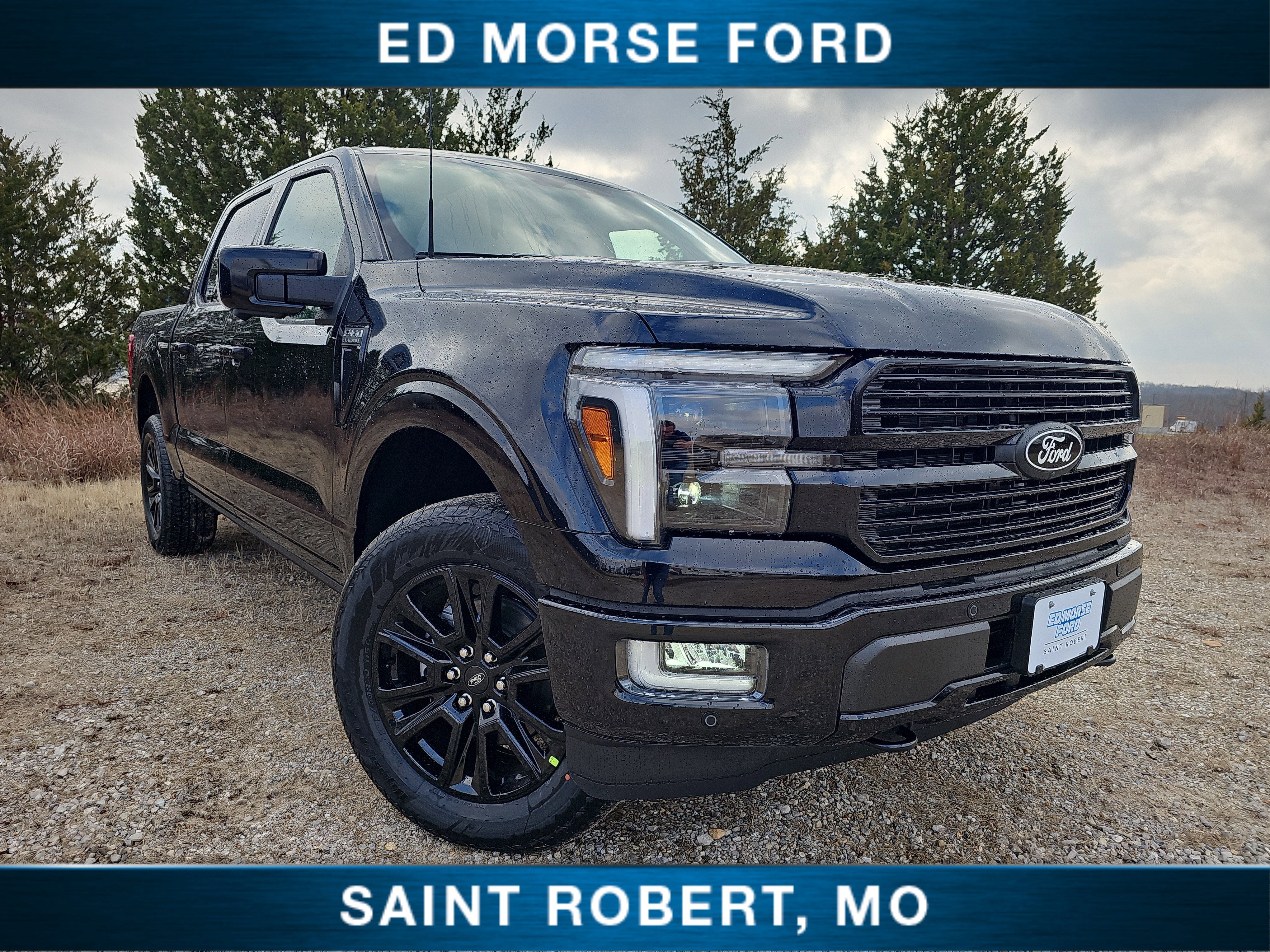 2025 Ford F-150 Platinum