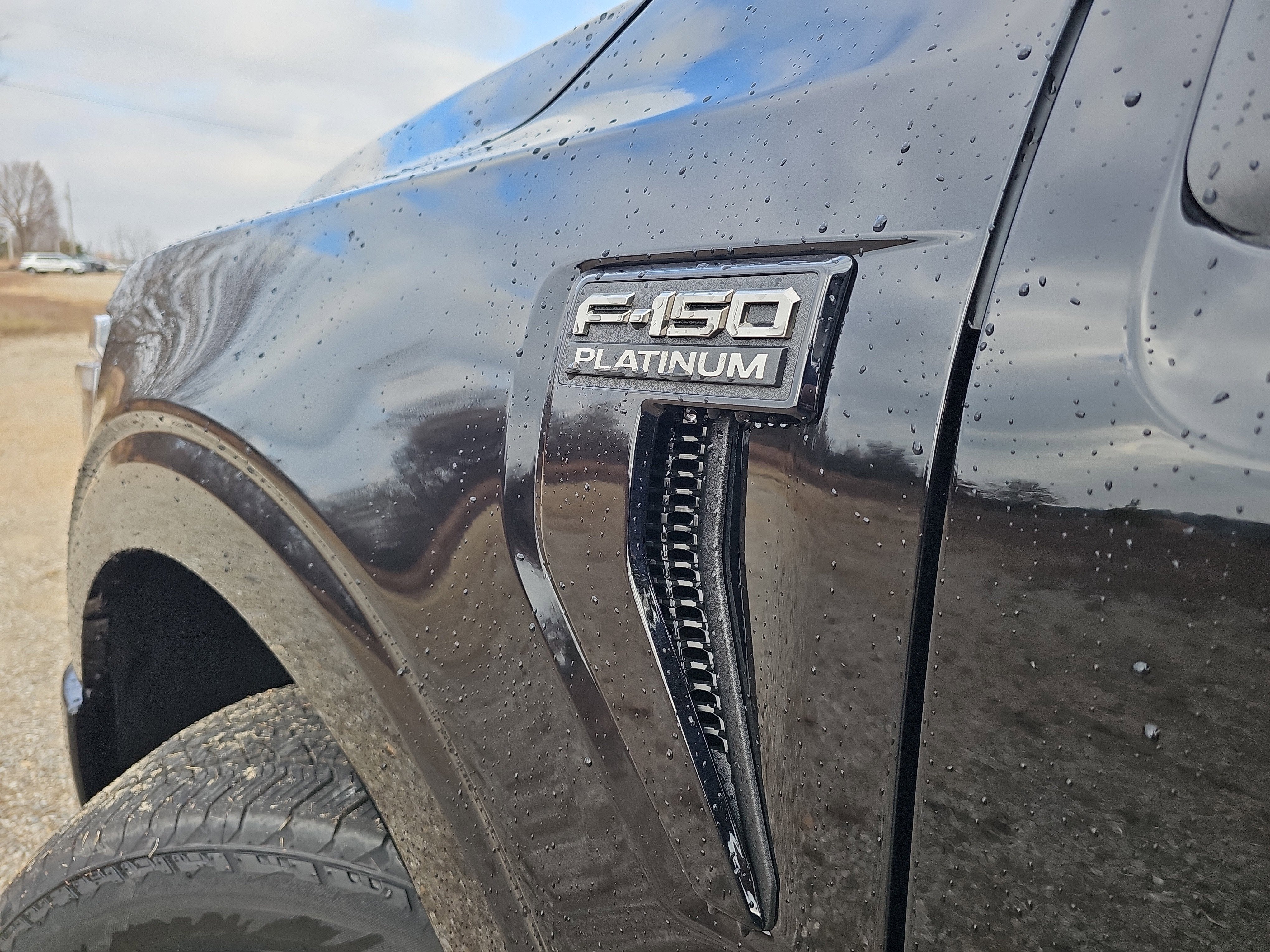 2025 Ford F-150 Platinum