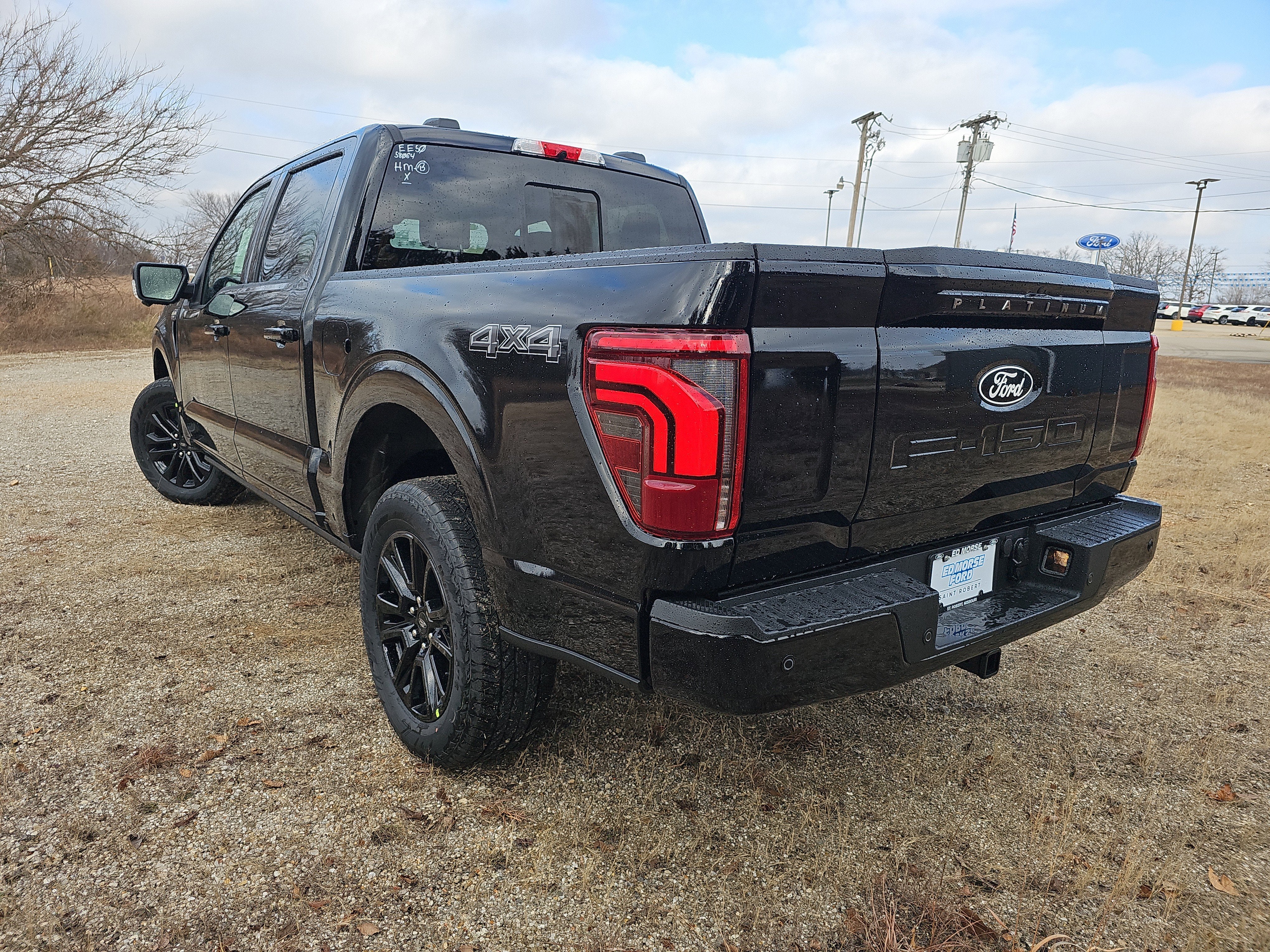 2025 Ford F-150 Platinum