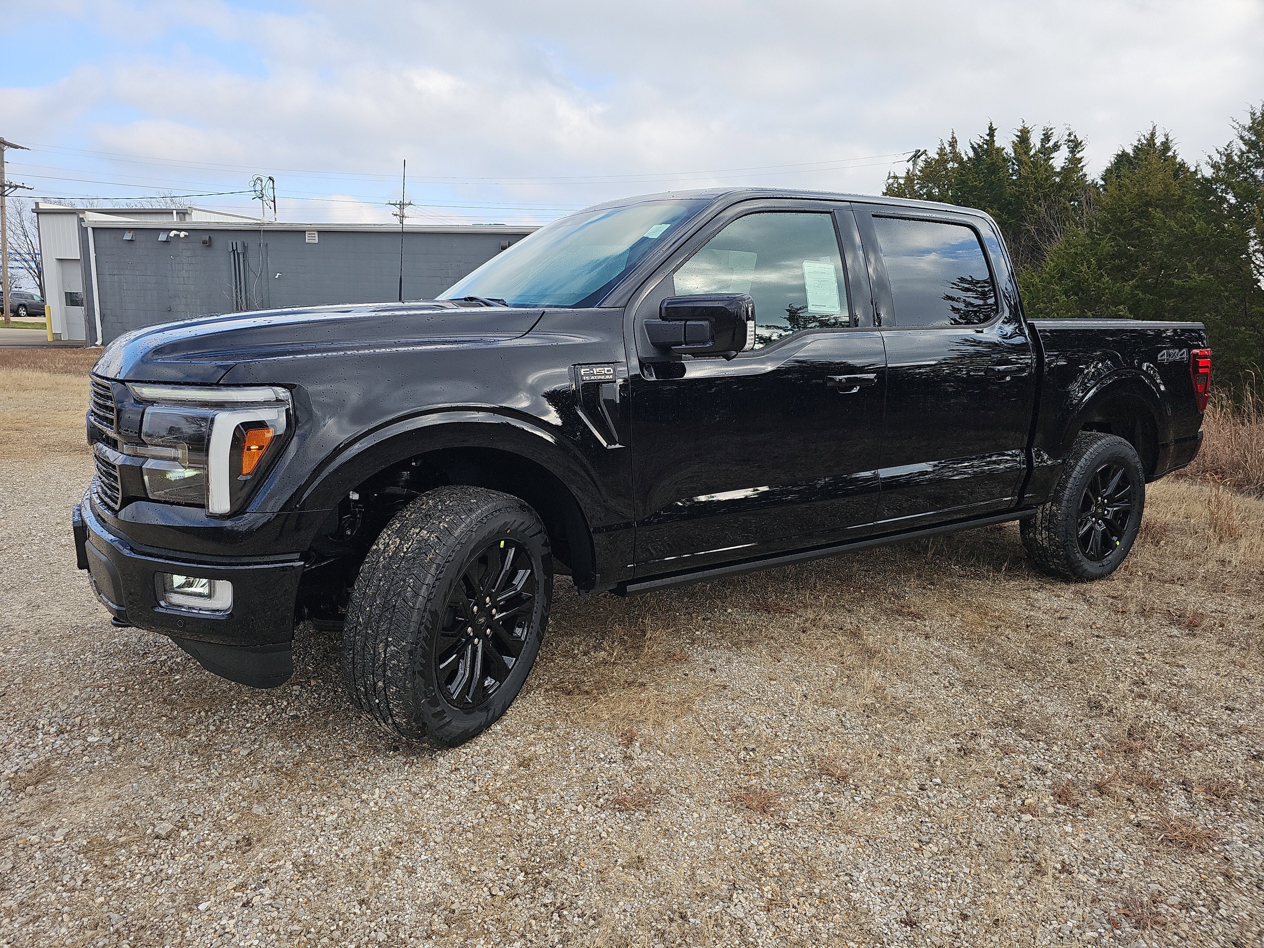 2025 Ford F-150 Platinum