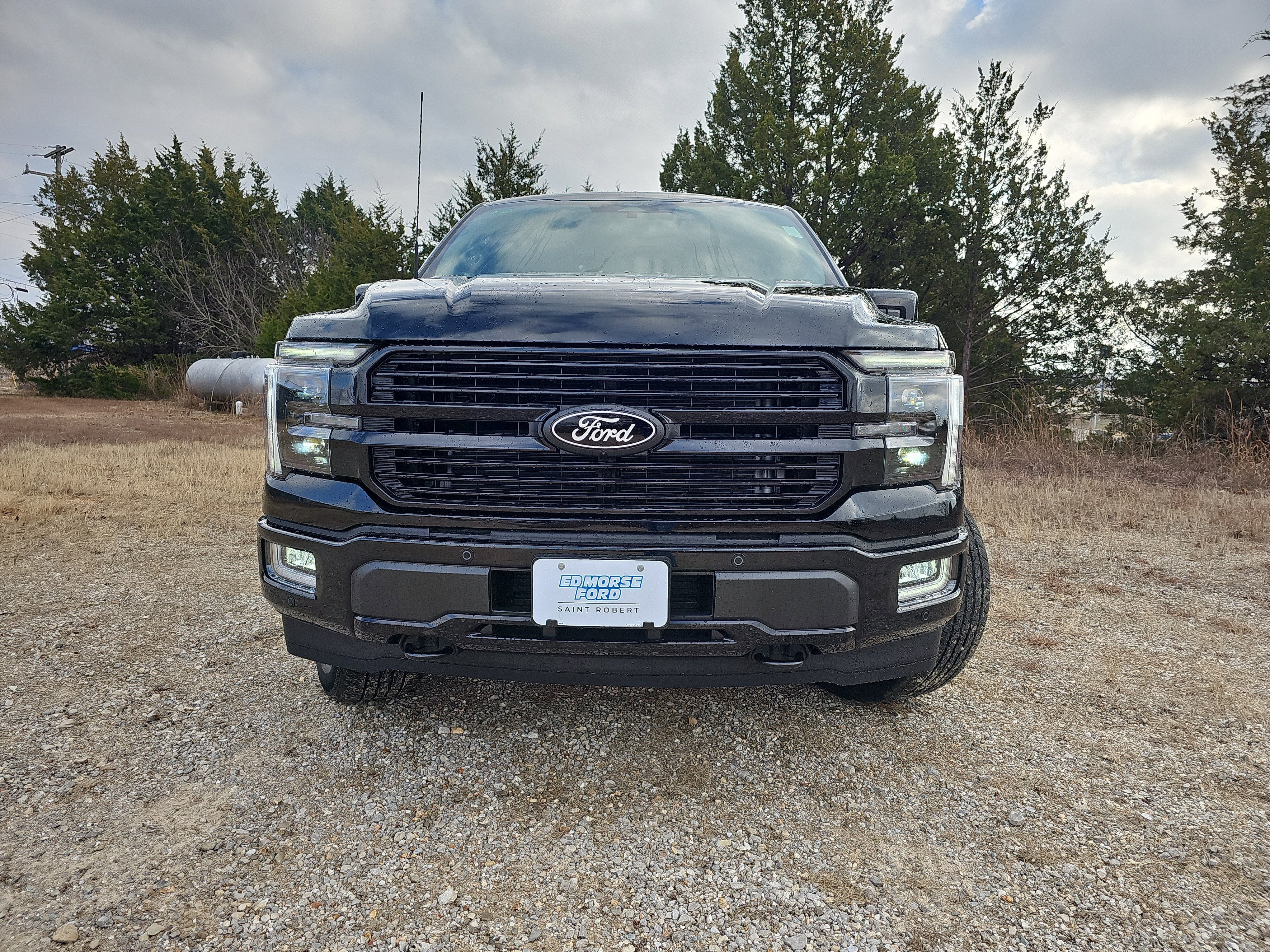 2025 Ford F-150 Platinum