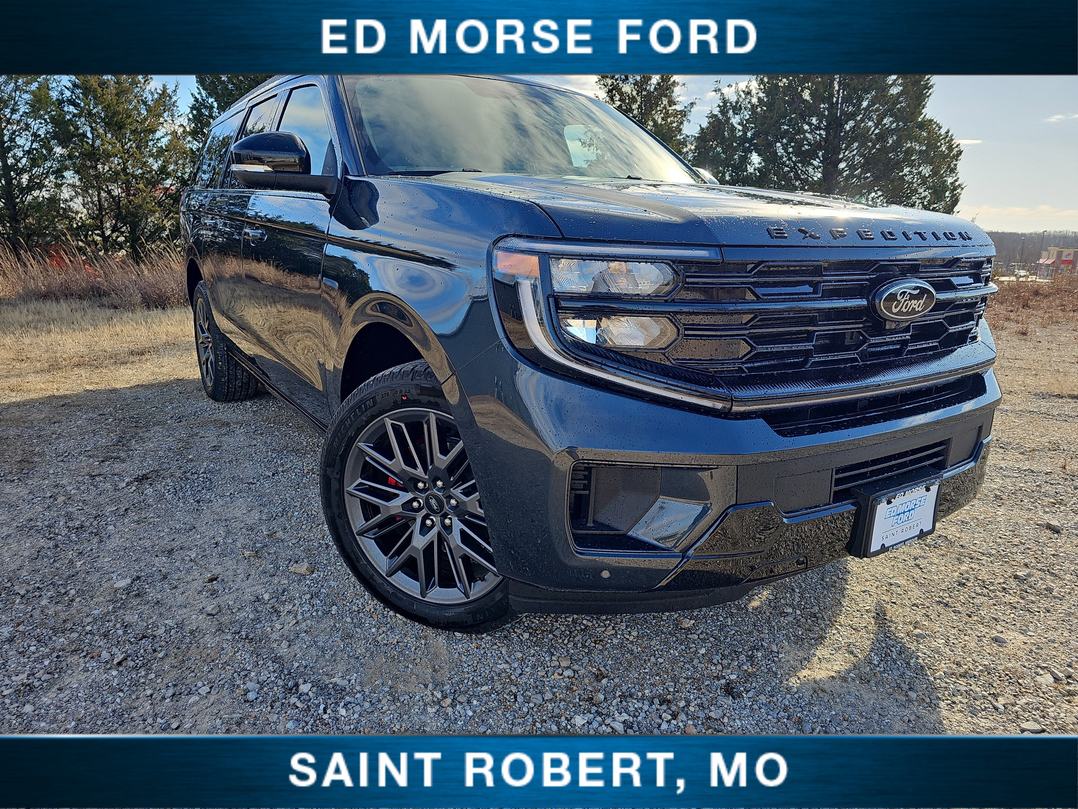 2025 Ford Expedition Max Platinum